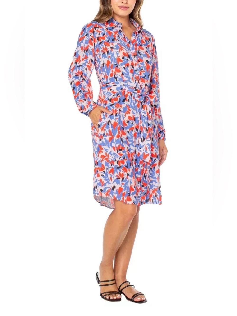 Well Worn Floral Button-Front Dress in Blue, Red & Black